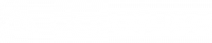 Datafuse Logo
